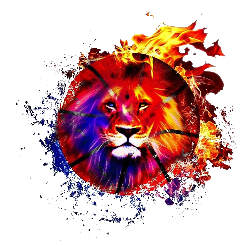 ASD Lions Academy – Il sito ufficiale della Polisportiva